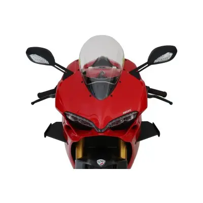 Cnc Racing Zw001K Gp Winglets Alette In Carbonio Ducati Panigale VTwin - Carene e Accessori