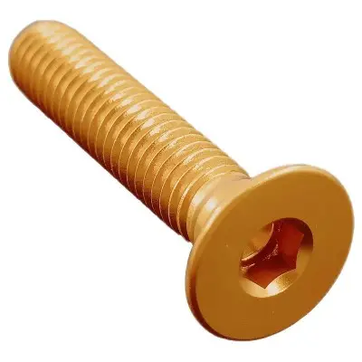 Vite Testa Piana Svas. Erg. Cl 005 M6 L. 65 Oro 005M6065ORO Lightech - Viti Sfuse